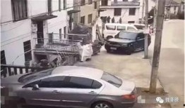 绍兴高速爆料事件视频曝光,揭露惊人真相