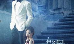 繁星电视剧,青春校园的璀璨传奇