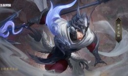 赵云古风皮肤爆料视频,剑舞风云，翩翩侠影