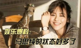 马思纯男友爆料视频,揭秘明星恋情背后的真相
