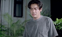 刘青云主演的电视剧,悬疑剧中的正义守护者