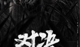 对决电视剧,暗流涌动的权力较量，谁将笑到最后？