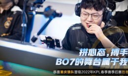 爆料重庆狼队视频最新,揭秘赛场幕后风云