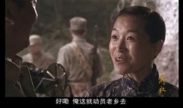 电视剧解放全集完整版,烽火岁月里的英雄传奇