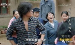 岁岁年年柿柿红电视剧全集,岁月流转的温情岁月