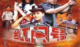 红问号电视剧,揭秘革命岁月的传奇故事