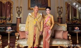 安德鲁最新爆料贵妃,贵妃背后的惊人真相