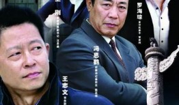 国家干部电视剧,权谋与担当的岁月传奇