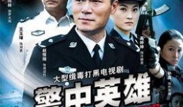 警察电视剧,正义之光下的生死较量