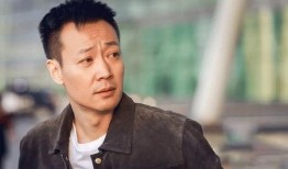 辛柏青最新电视剧,情感纠葛下的时代变迁