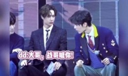 日娱圈内爆料肖战杨紫视频,日娱圈内热议不断