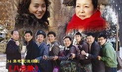 八兄弟电视剧,血脉相连，共筑家国梦