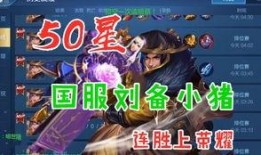 小猪刘备爆料视频播放在线观看