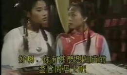 清宫气数录 电视剧,揭秘宫廷秘史，探寻命运轮回