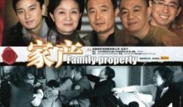 电视剧家产全集在线观看,家族风云，财富传承的史诗巨制