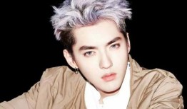 吴亦凡的电视剧有哪些,从音乐偶像到电视剧新秀的多面演绎