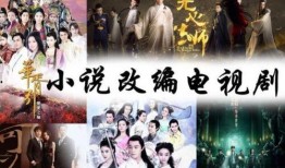 电视剧 连续剧,一部描绘时代变迁的连续剧