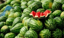 求个网红吃瓜网站名,揭秘娱乐圈幕后真相，带你领略网络红人生态