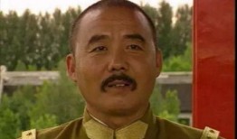 大帅传奇电视剧,烽火岁月里的英雄传奇