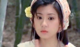 贾静雯主演的电视剧有哪些,贾静雯影视生涯精彩剧作集锦