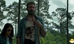 金钢电影在线观看国语