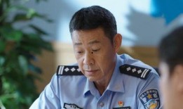 护卫者电视剧,守护正义的钢铁长城