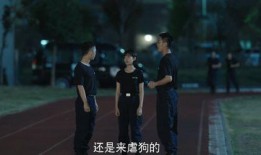 护卫者电视剧,守护正义的钢铁长城