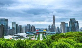 深圳市民尤先生最新爆料,揭秘背后惊人真相！