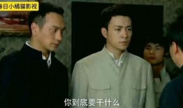 卧底的电视剧,暗战背后的生死较量