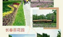 长春百花园爆料最新消息,揭秘神秘事件背后的真相