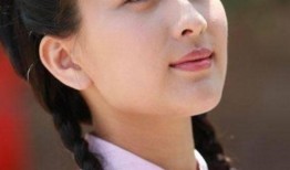 湖南卫视16年电视剧,经典剧集回顾与亮点纷呈