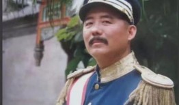 大帅传奇电视剧,烽火岁月里的英雄传奇