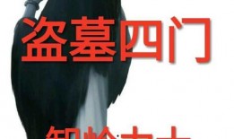 惊天动地盗墓电视剧,揭秘古墓之谜，探寻千年宝藏传奇