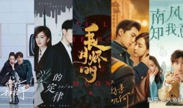 电视剧 排行榜,盘点年度热门剧集，揭秘观众心选佳作