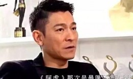 刘德华记者爆料视频,娱乐圈幕后真相大曝光