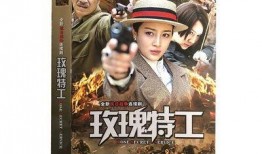 抗日战争电视剧大全,抗日战争电视剧大全回顾