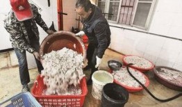 新闻爆料香肠黑作坊,食品安全隐患令人堪忧