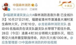 福建省爆料新闻事件最新,神秘事件引发社会关注