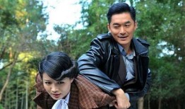 电视剧《孤雁》,逆境中的坚韧与成长