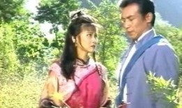 大帅传奇电视剧,烽火岁月里的英雄传奇