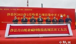 青山最新爆料消息新闻,揭秘最新热点事件内幕