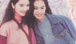 洪欣电视剧有哪些,演绎人生百态，诠释情感真谛