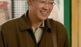 辛柏青最新电视剧,情感纠葛下的时代变迁