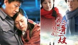 电视剧二哥,兄弟情深，共度风雨