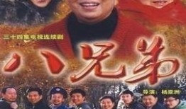 八兄弟电视剧,血脉相连，共筑家国梦