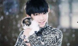 王俊凯演的电视剧,王俊凯演绎热血青春传奇