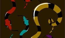 蛇漫画,一场惊心动魄的冒险之旅