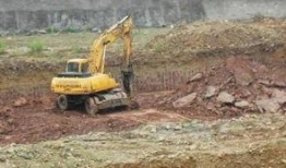 绵阳最新凯厦砍树爆料,真相与争议交织的环保风波