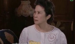 金顶电视剧,巅峰对决，传奇崛起