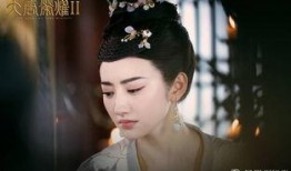 大唐荣耀 2电视剧,权谋风云，爱恨交织的宫廷传奇